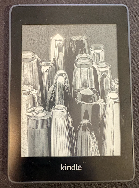 Amazon Kindle PaperWhite 10th gen WiFi 8GB Model | eBay