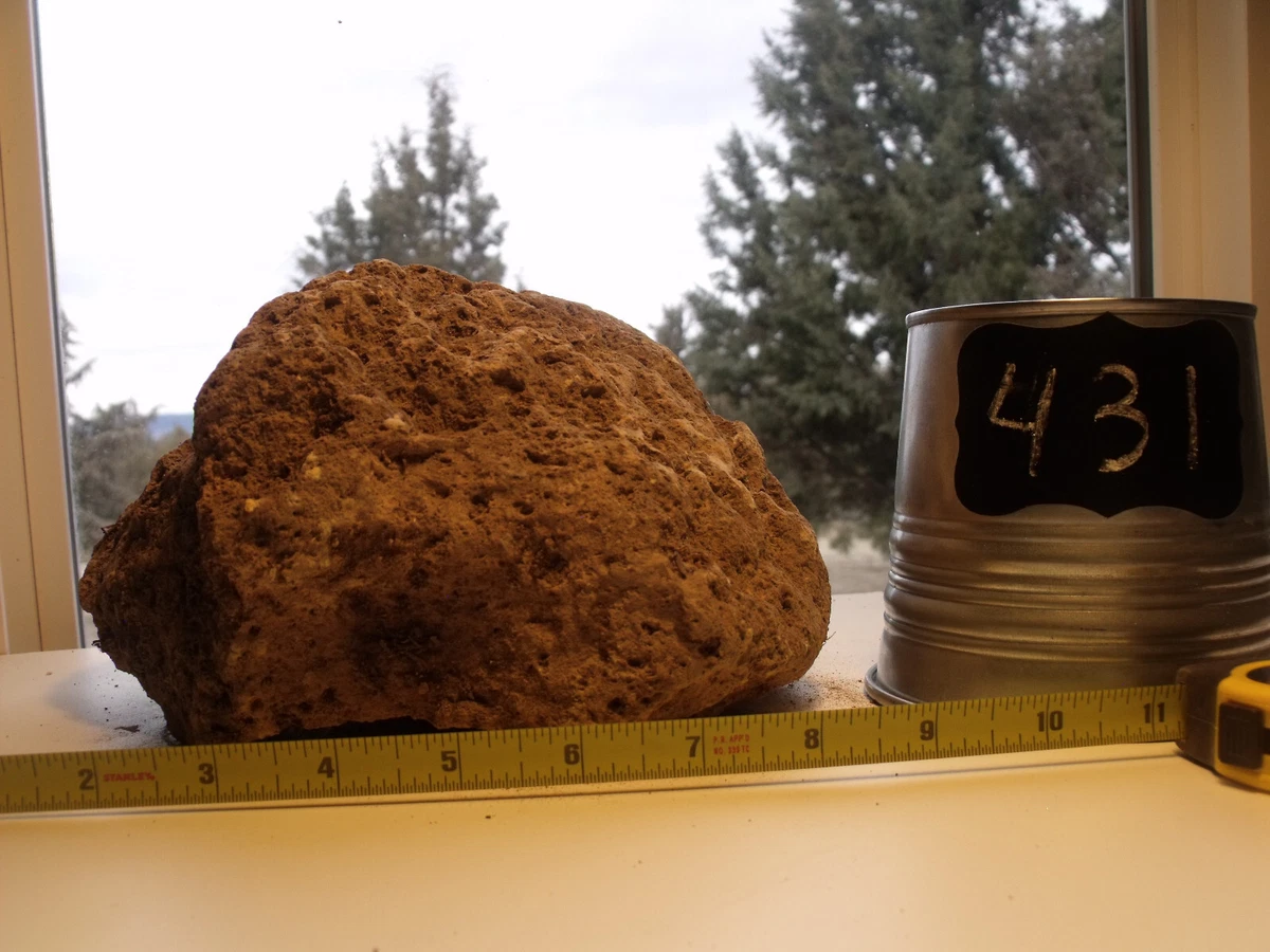 Pumice Stone Garden Art Fasci Garden