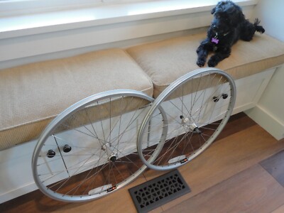 Wheels & Wheelsets - Alex Rims - Nelo's Cycles