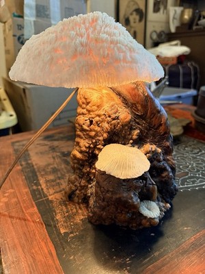 Vintage Magic Mushroom Coral and Driftwood Night Light Lamp Handmade GROOVY