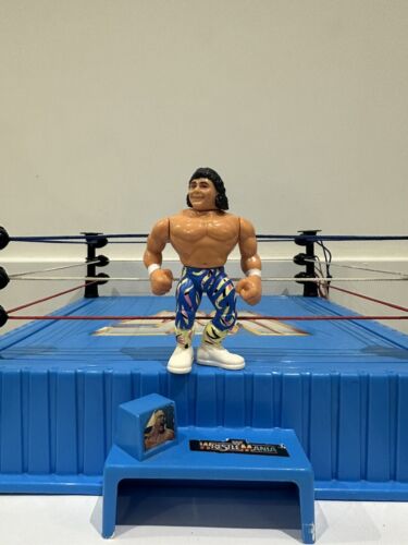 WWE WWF Hasbro Series 10 - Marty Jannetty Wrestlin...