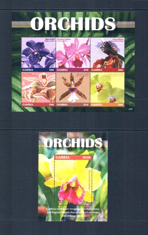 $24.75 Scott Value - 2022 GAMBIA Flores Orquídeas 2 s/s African CV MNH NH UMM Foto 3 de 4