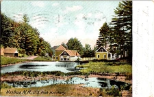 1907 Nashua, NH U.S. Fish Hatchery New Hampshire Postcard Undivided Posted