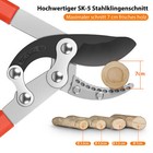 Bild 4 von 15