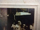 Rare Late 1890-1910? Japanese Military Soldier Cabinet Card Photo Yamagata Japan — photo 4