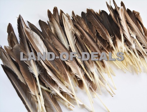 40+ Duck pointer feathers Natural brown loose real feathers for crafts 0.5/1 oz - Picture 3 of 8