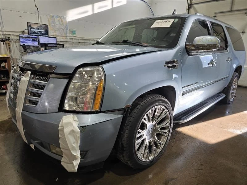 ESCALAESV 2011 Luggage Rack 609295 Foto 3 de 4