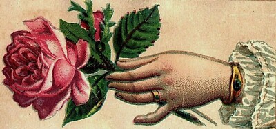 1880's H.C. Bertram Dyer & Scourer Harlem NY Lady's Hand With Rose P147