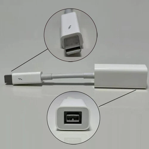 Thunderbolt 2- FireWireアダプタ Thunderbolt to Firewire Adapter online kaufen | eBay