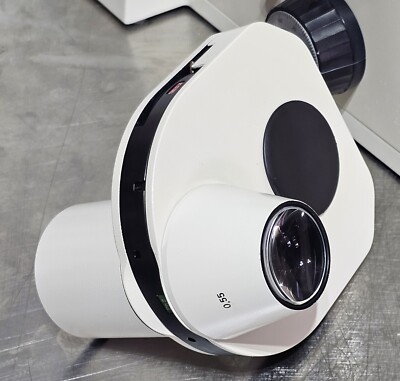 頭部が重機のような異形コガネ　Coptorhina sp 13,5mm Zeiss Axiovert 135 135H Phase Contrast Inverted Microscope | eBay