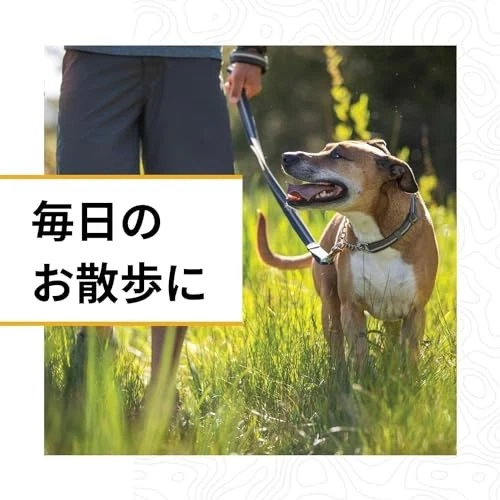 RUFFWEAR Official Chain Reaction Color Basalt Gray 36cm-51cm - Image 2 of 4