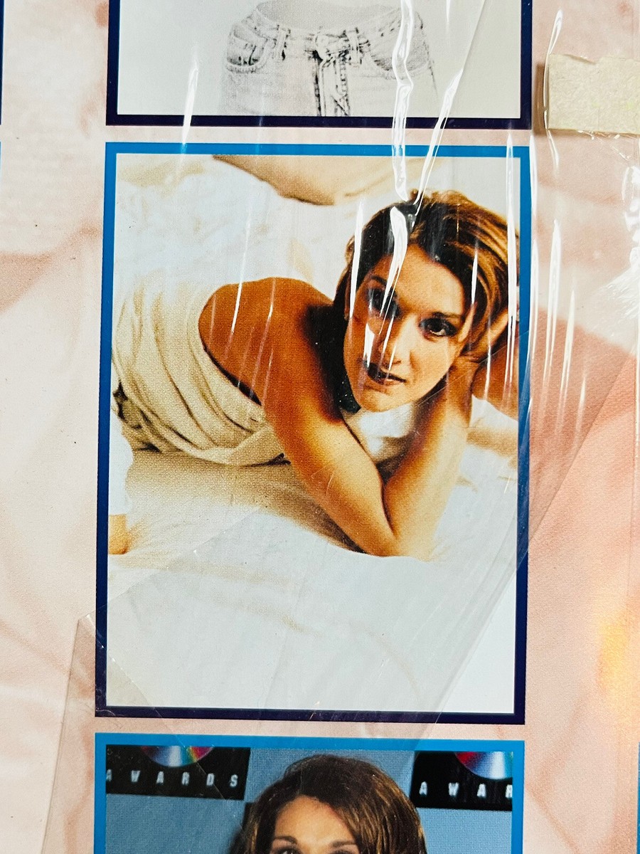 Celine Dion 2001 /2029 Calendar 12”x16 1/2” Brand New with