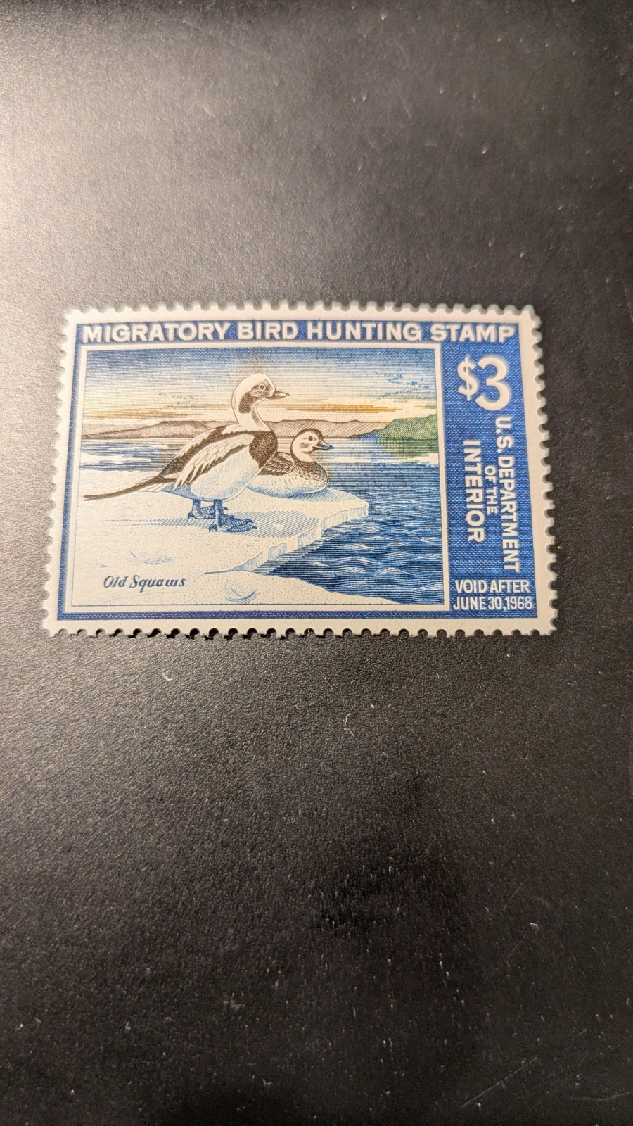 U.S. Federal Duck Stamp #RW34 Very Fine Mint Never Hinged