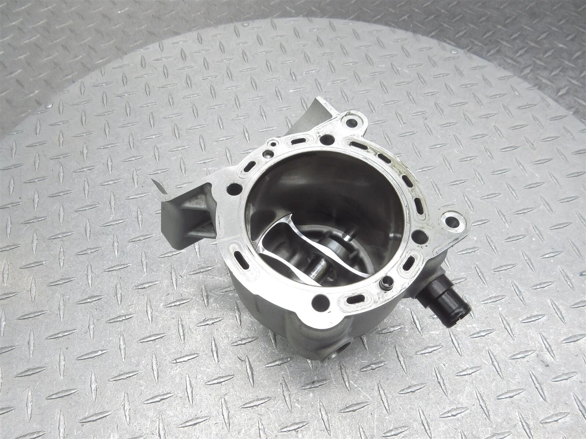 2015 15-17 Ducati Multistrada 1200 Rear Vertical Cylinder Barrel Jug Piston OEM