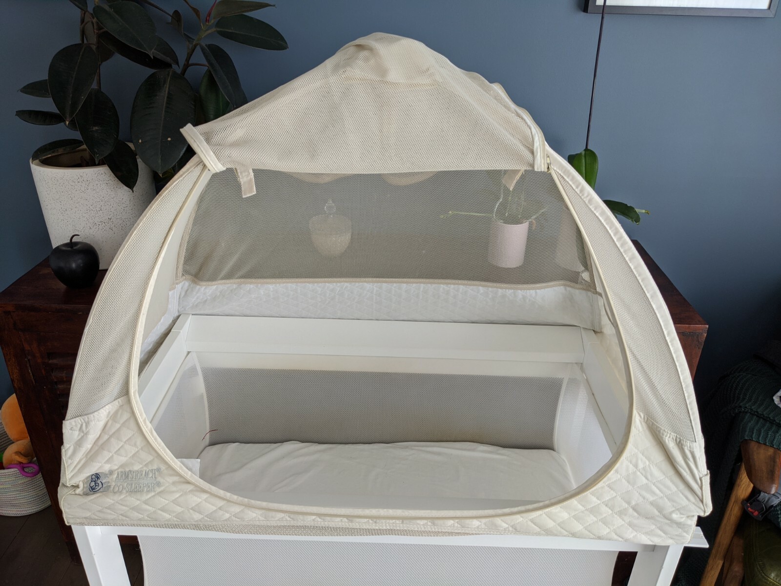 arm's reach co sleeper canopy