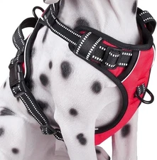 Dog Harness with 2 Leash Clips No-Pull Reflective Vest for Large Dogs