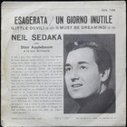 Foto 2 di 2