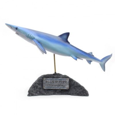 Kaiyoukoubou Blue shark Real Figure Fish carving Prionace glauca From Japan