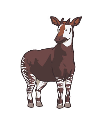 Okapi Sticker Decal