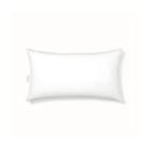 BOLL & BRANCH Down Chamber Pillow – Luxury 100% Organic Cotton Shell ̵