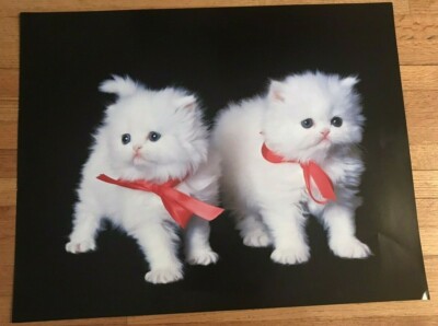 Rare 1988 Advanced Graphics Print # 269 Two Kitties Poster 28''X 22''