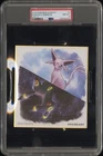 Umbreon Espeon Pokemon Center Card Japanese Shikishi Art Board Nintendo PSA 8