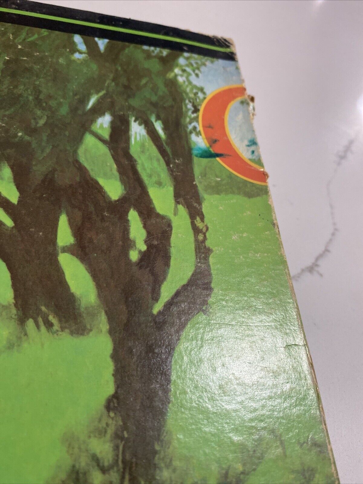 Picture 16 of 16