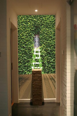 3D White Ladder Leaves G727 Wallpaper Wall Murals Removable Self-adhesive Honey