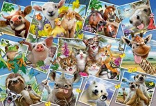 HOWARD ROBINSON - TIERISCHE SELFIES - Schmidt Puzzle 56294 - 200 XXL Teile Pcs.