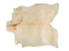 Extra-Large Bleached Goat Rawhide Skin 55-50XB-G6970