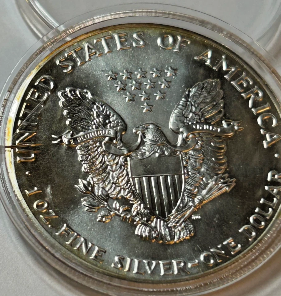 1989 P American Eagle Silver Coin Ungraded in Plastic Holder, Beautiful Toning - Image 4 of 4