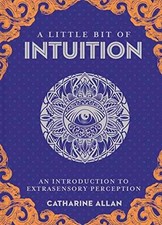 A Little Bit of Intuition: An - Hardcover, by Allan Catharine - Good x
