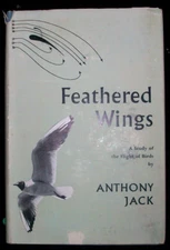 Feathered Wings A Study of the Flight of Birds Anthony Jack British UK Book 1953