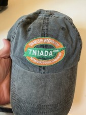TNIADA TN Independent Automotive Dealer Association Gray Adjustable Hat
