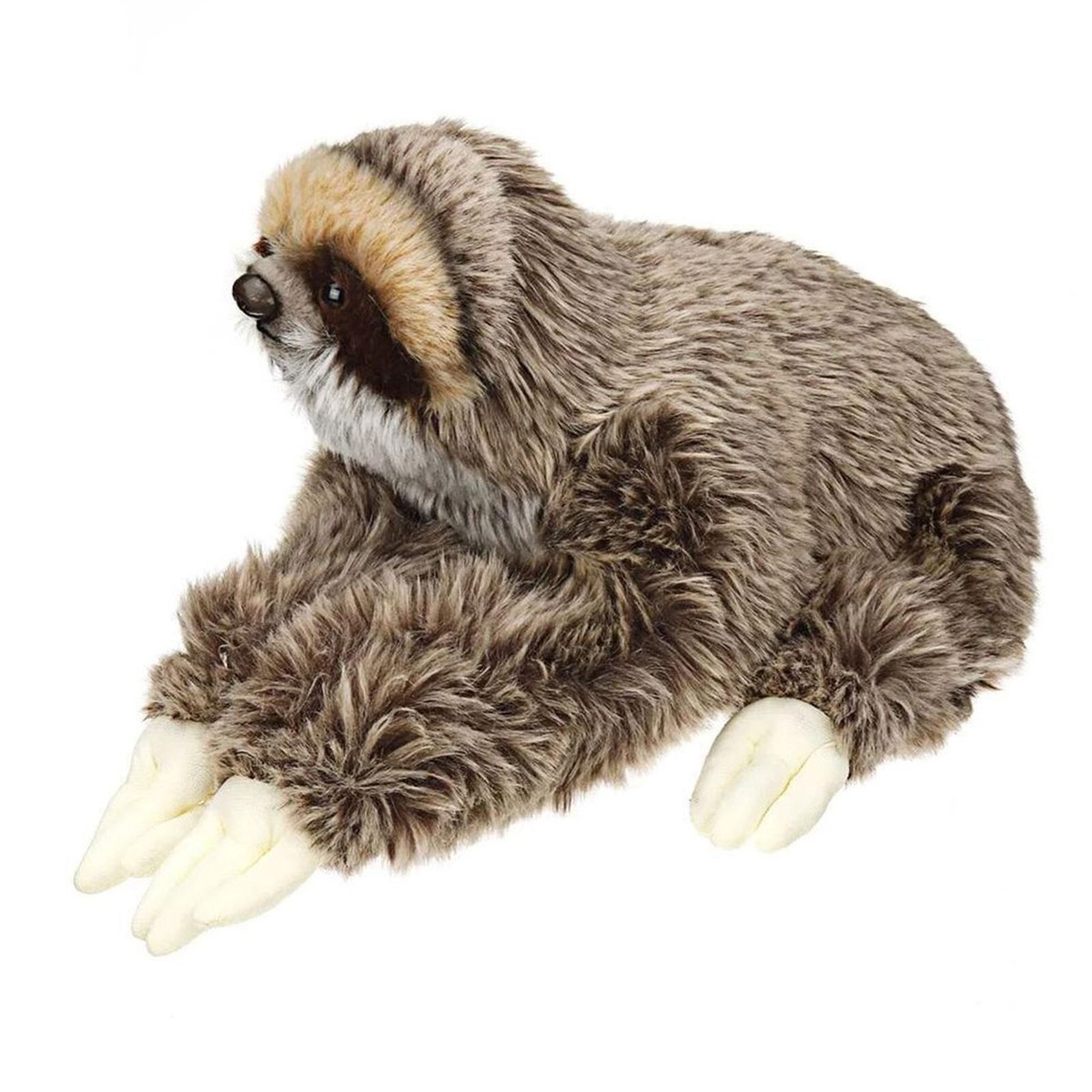 Three Toed Sloth Plush Toy 35cm Realistic Stuffed Animal Soft