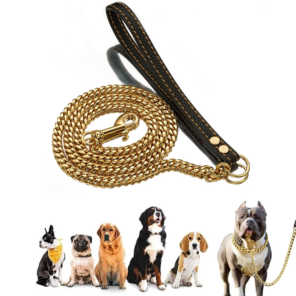 Dog walking chain sales