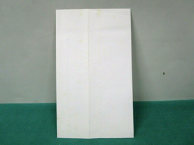 Sega Saturn Tokimeki Memorial Taisen Pazurudama. spine card etc. JAPAN. SS 16420