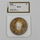 2004 American Silver Eagle 1oz $1 BU Uncirculated Rare Rainbow Toning Raw Mint