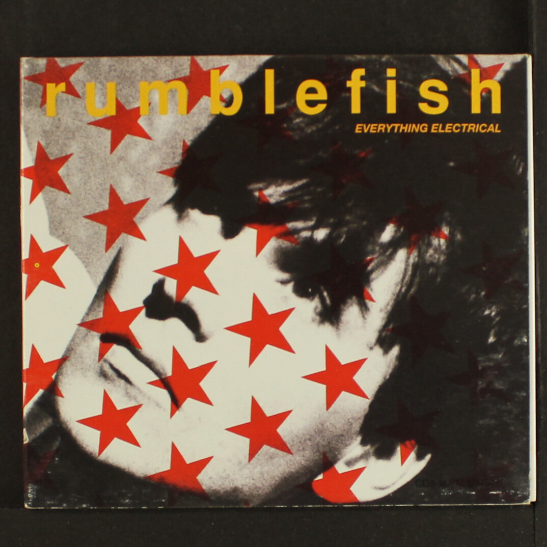 邦楽 Rumble Fish ALL OR NOTHING The Rumble Fish (2005