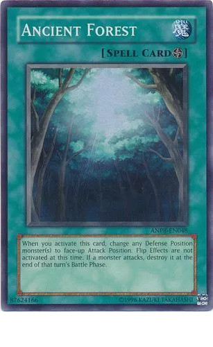 Core Reinforcement Rare Ancient Prophecy ANPR-EN073 LP | eBay