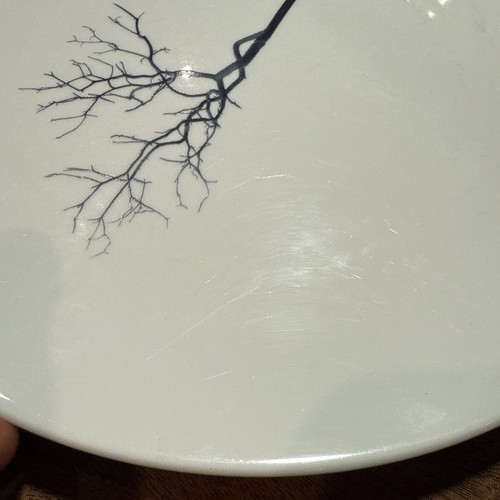 3 DIBBERN Black Forest Tree Fine Bone China large Dinner Plates 11” Germany - Picture 24 of 24