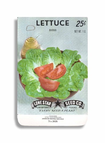 Vintage Unused Seed packets in a hand made framed vegetable Lone Star American - Picture 31 of 95