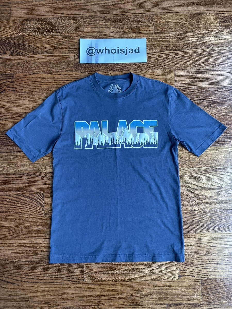 Palace Palaska Tee | eBay