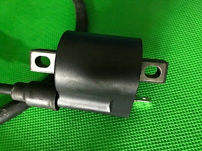 EP BARRUS QUADBIKE ZÜNDSPULE GRASSFLITE & MOTOROMA 50cc 100cc 110cc 2-TAKT
