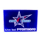 Starbulls Rosenheim SBR Pin Logo Deutschland DEL Eishockey #840