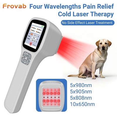 2500mW Handheld Cold Laser Therapy for Arthritis Pain Relief 650/808/905/980nm