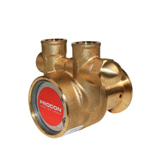 PROCON 142A070F11AA - 3/8" NPT Brass Rotary Vane Pump Series 2