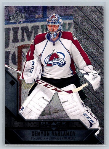 2014 Semyon Varlamov #87