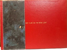 Grey Flame and the Brown Light by Corin Hewitt 