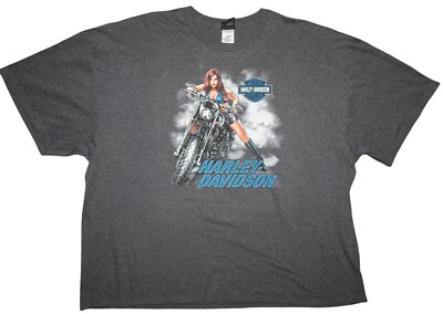 2019 Harley-Davidson Landers Toad Suck Conway Arkansas Biker T-Shirt Men's 4XL